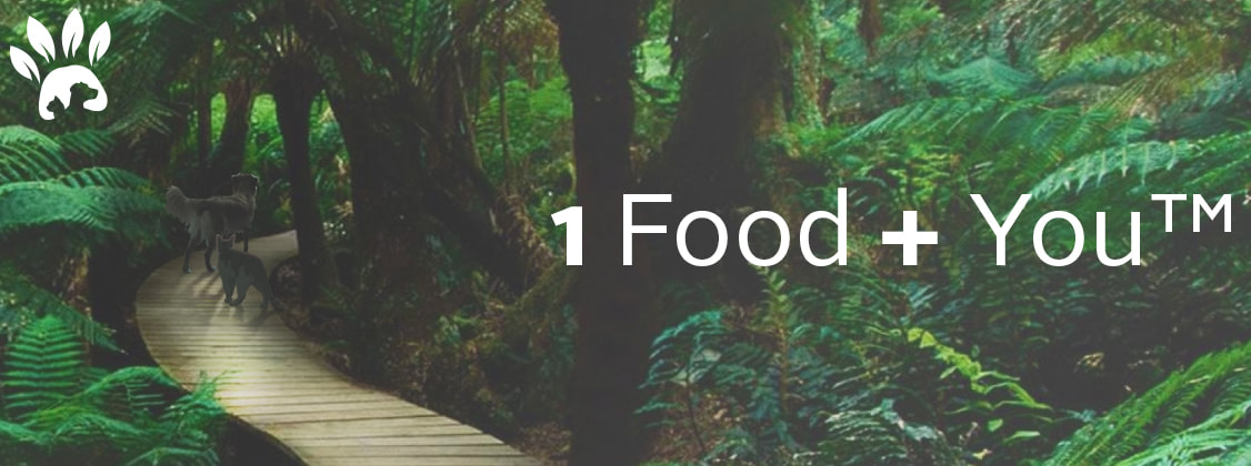 1 Food + You™ article header